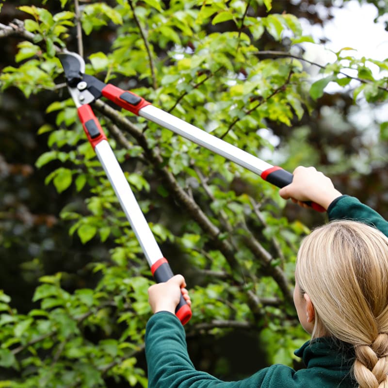 Professional Lopping Shears Solutions