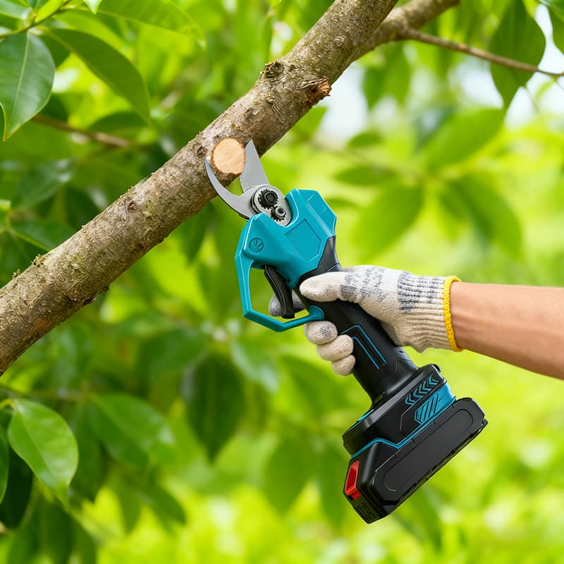 Professional Electric Pruning Shears Solutions 001