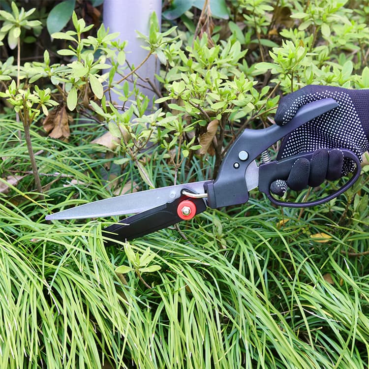 Professional Grass Shear Solutions