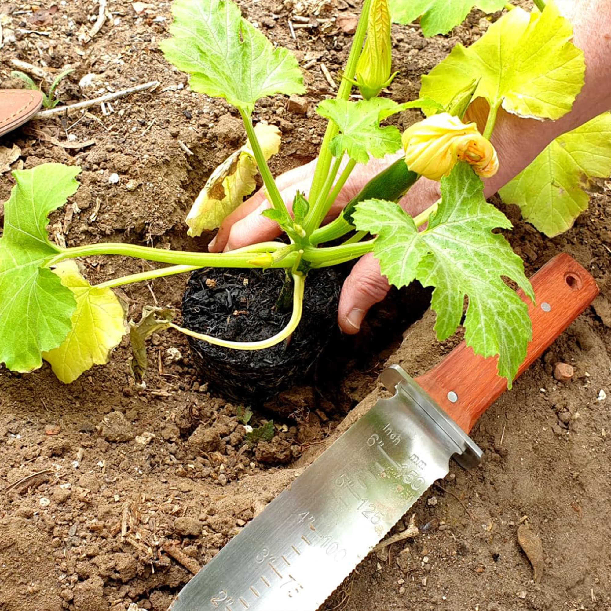 Professional Garden Knife Solutions
